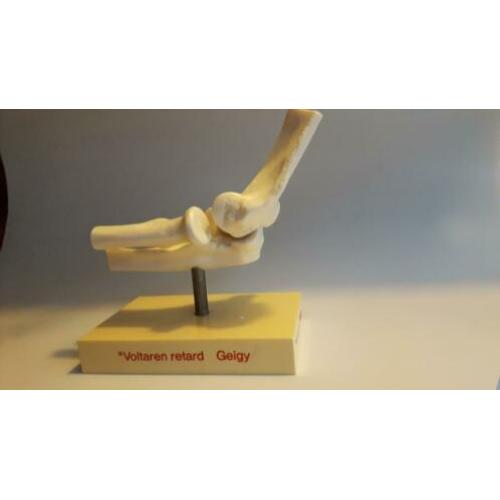 Voltaren Retard Geigy medische modellen 1 knie en 1 elleboog