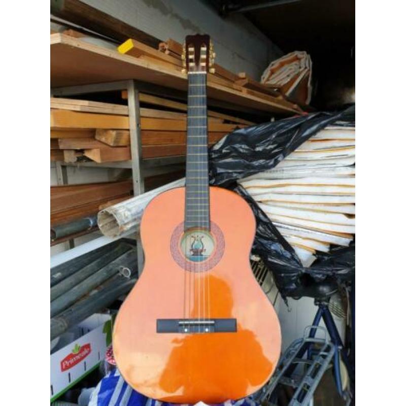 Akoestische gitaar