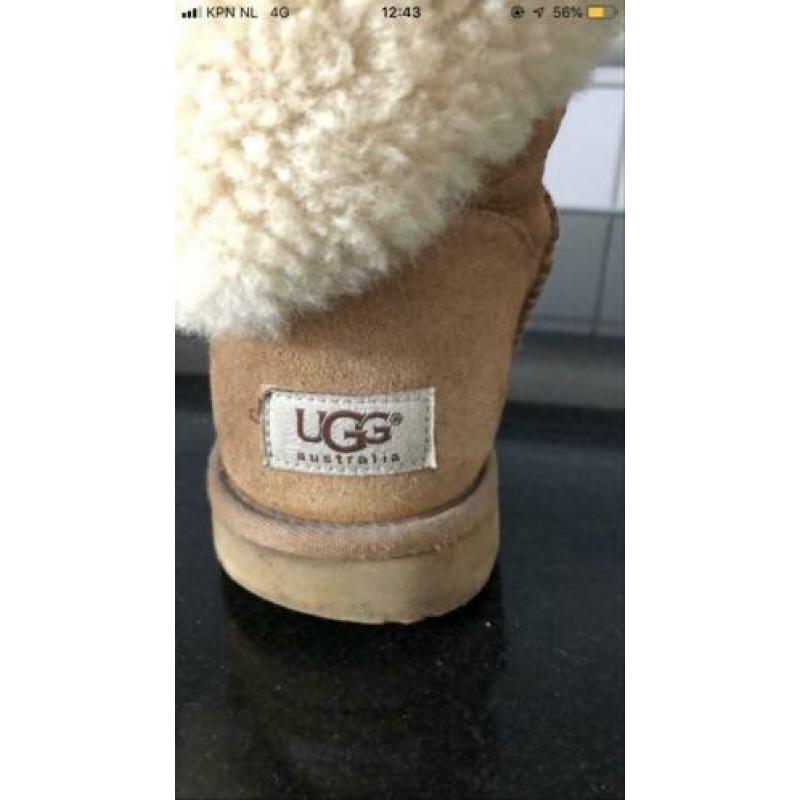Uggs beige
