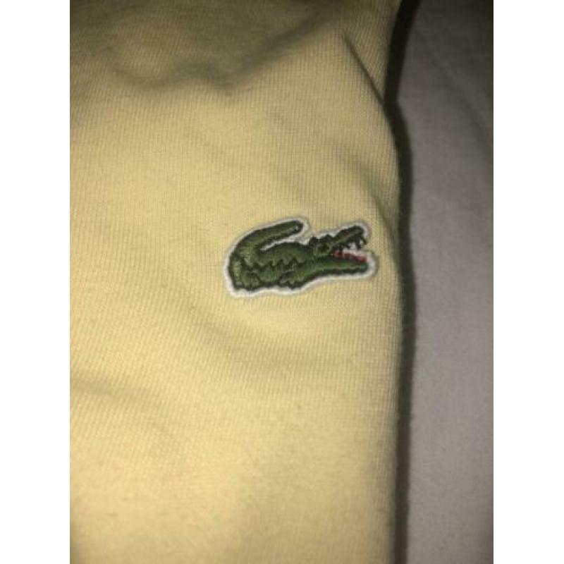 Lacoste t-shirts