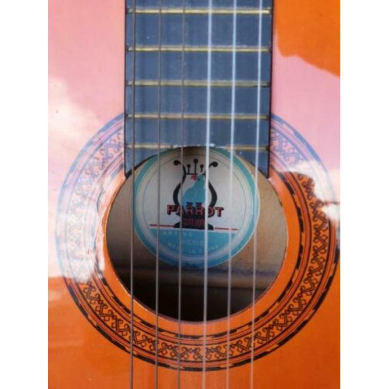 Akoestische gitaar