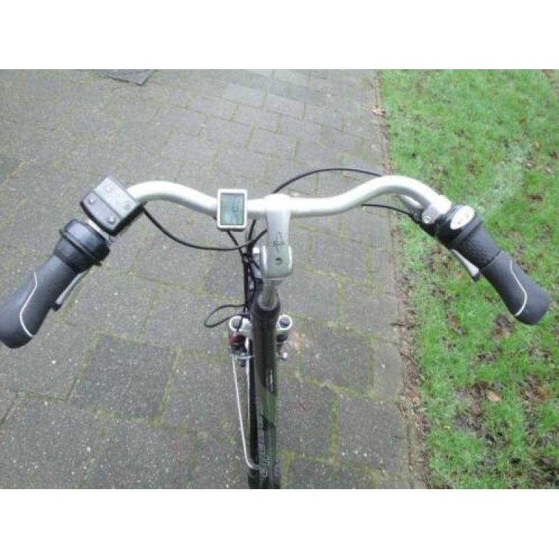 dames Gazelle
