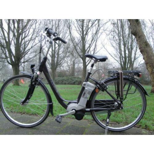 dames Gazelle