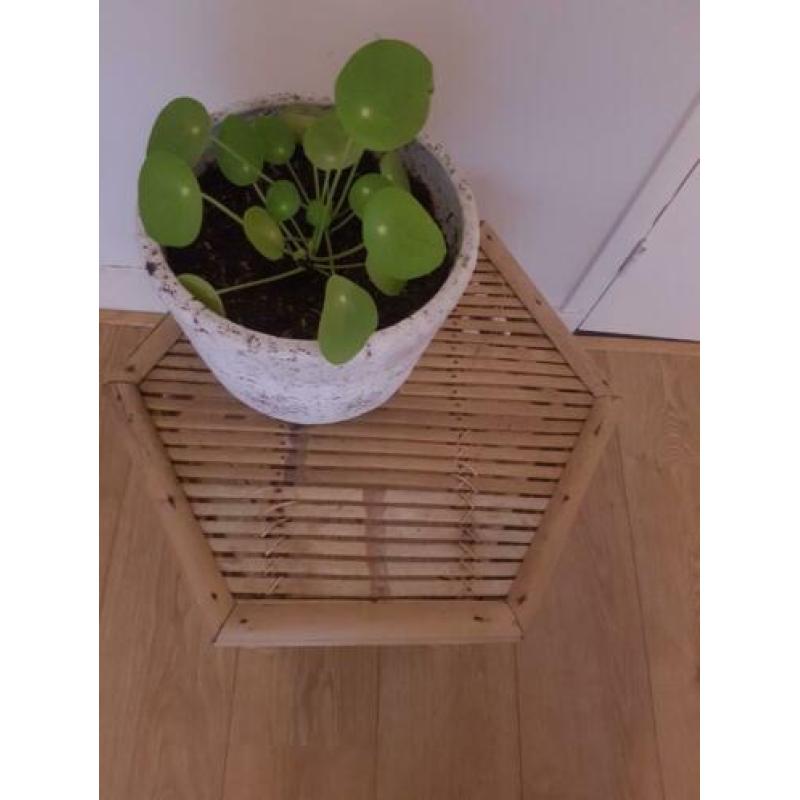 Rotan rieten bamboe tuintafel bijzettafel salontafel tafel