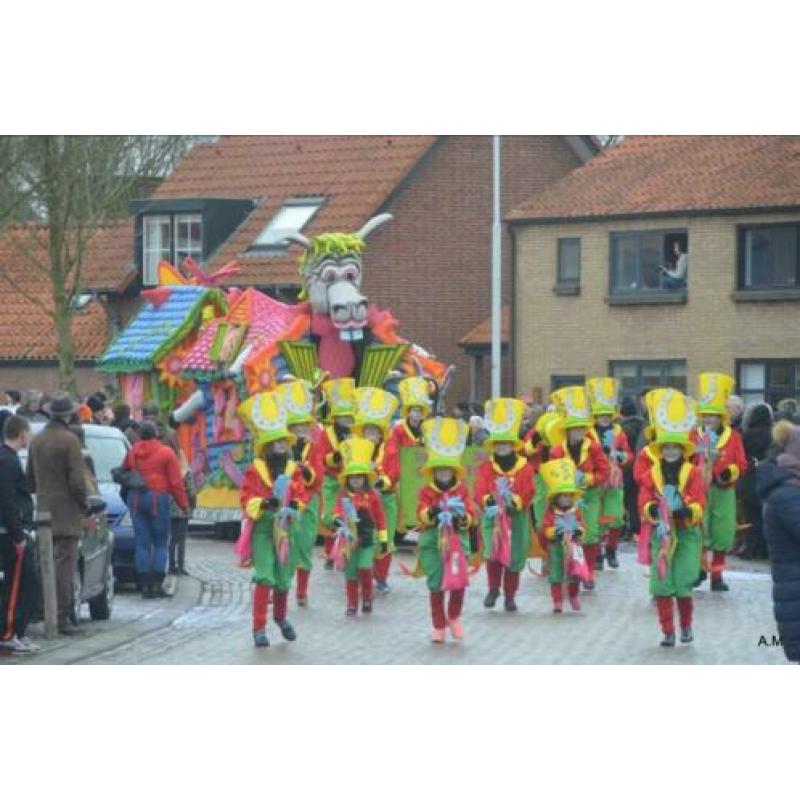 Te koop mooie Carnavalswagen