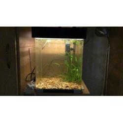 Aquarium 33 x 33 x 41