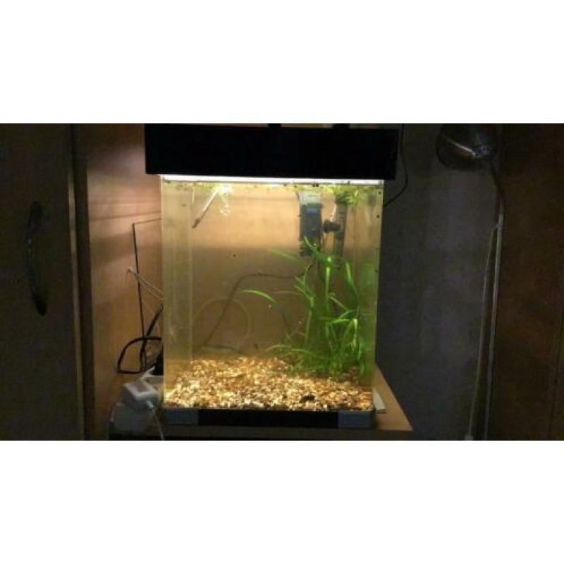 Aquarium 33 x 33 x 41