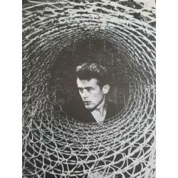 Mooi boek over James Dean met prachtige foto's