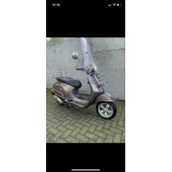 Vespa primavera snor