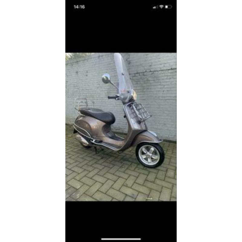 Vespa primavera snor