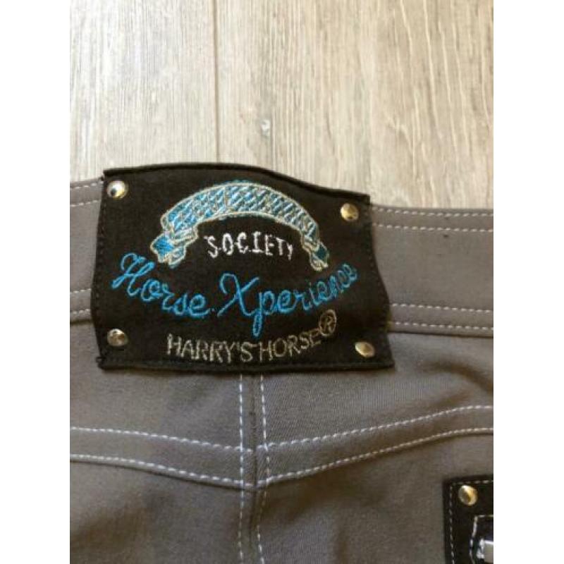 Harry horde rijbroek zgan