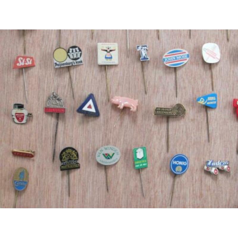 120 stuks speltjes (pins)