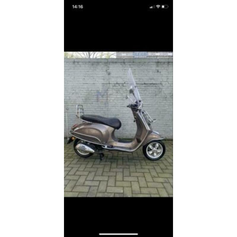 Vespa primavera snor