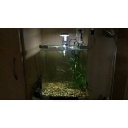 Aquarium 33 x 33 x 41