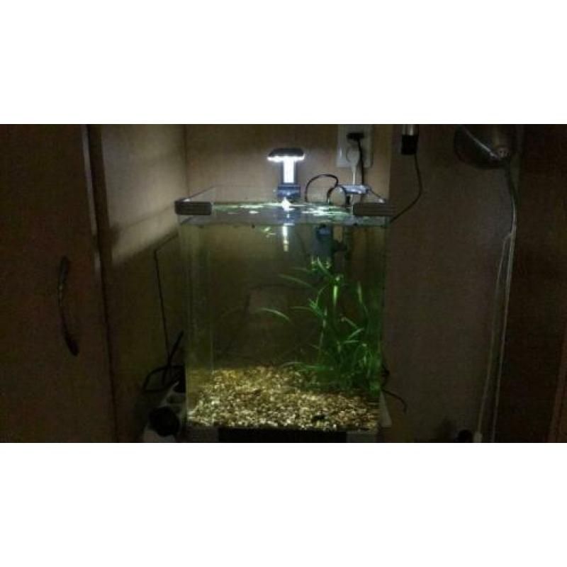 Aquarium 33 x 33 x 41