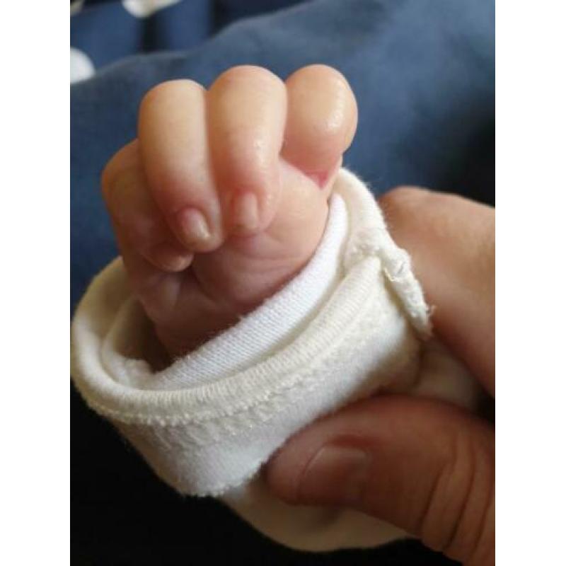 Reborn Ashley asleep.. zo goed als nieuw en levens echt