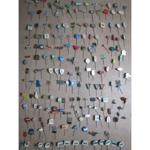 120 stuks speltjes (pins)