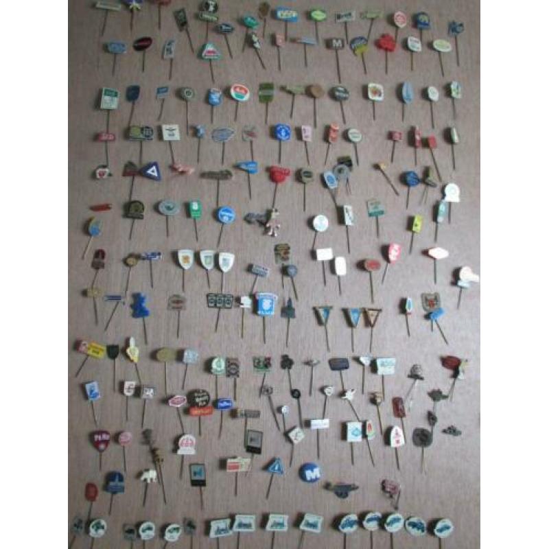 120 stuks speltjes (pins)