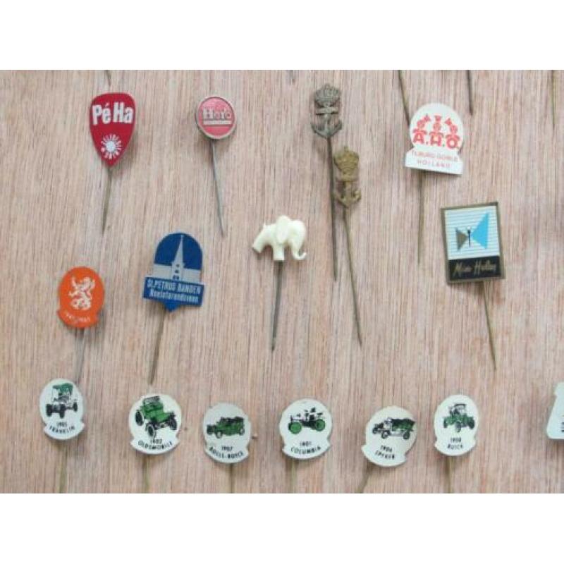 120 stuks speltjes (pins)