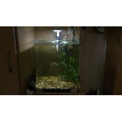 Aquarium 33 x 33 x 41