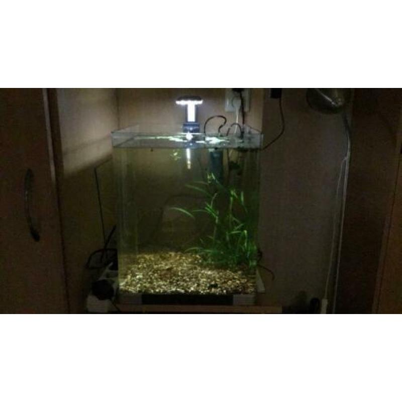 Aquarium 33 x 33 x 41