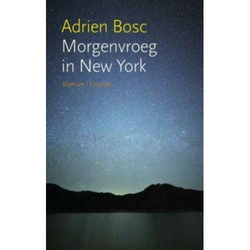 Boeken voor op vakantie of gewoon thuis Roman Romans en meer