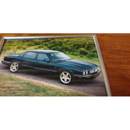 schilderij prenten jaguar