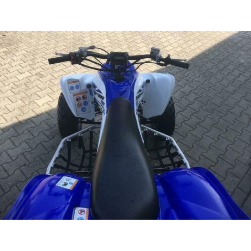 Yamaha Quad Diverse raptors 700