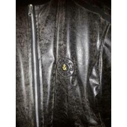 Dolce & Gabbana jas / jack