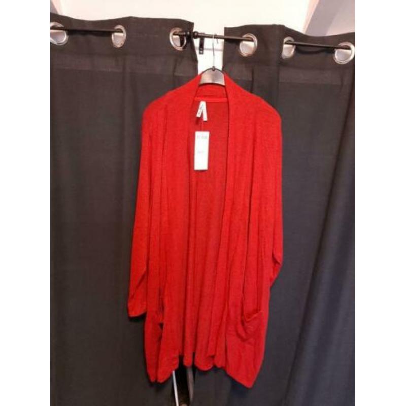 Miss Etam nieuwe vest maat 54