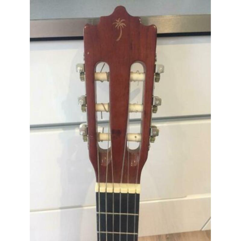 Gitaar + gitaar voor dummies