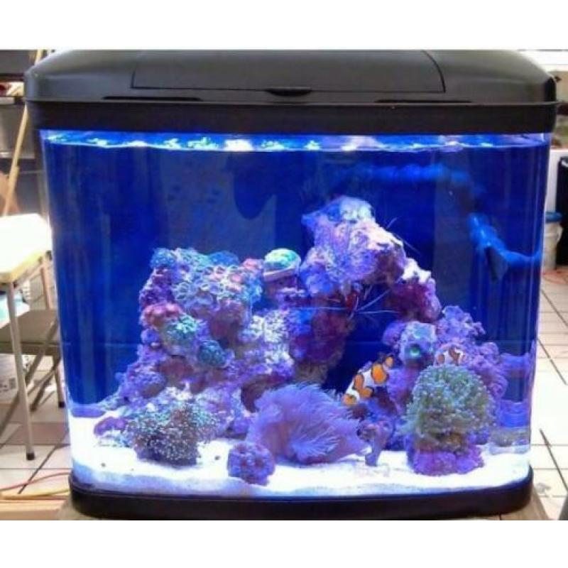 Resun Aquaria dms 400 compleet