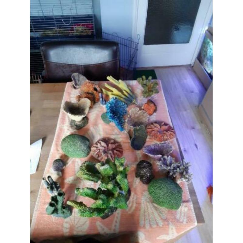 kunst koraal.