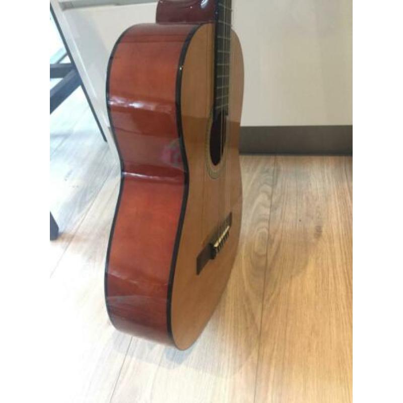 Gitaar + gitaar voor dummies