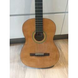 Gitaar + gitaar voor dummies