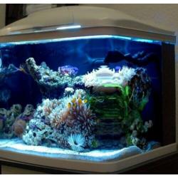 Resun Aquaria dms 400 compleet