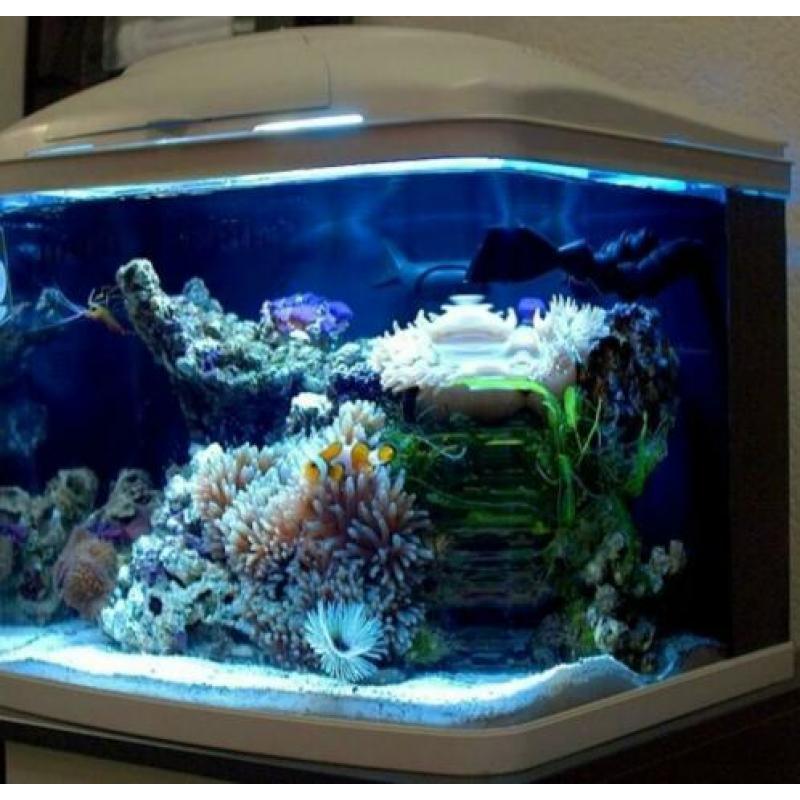 Resun Aquaria dms 400 compleet