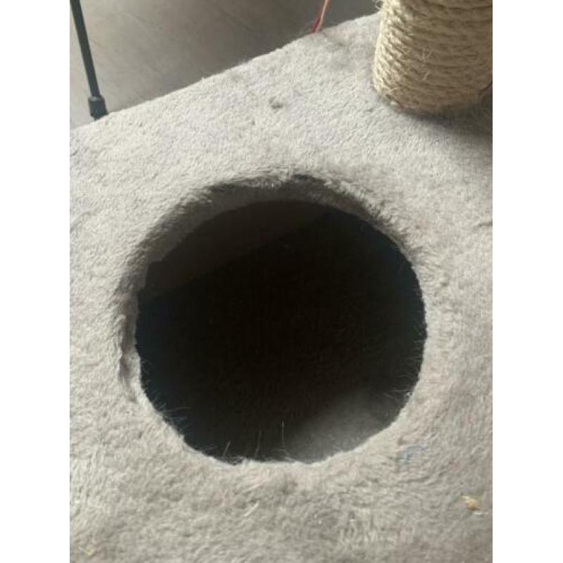 Katten krabpaal +/- 120 cm