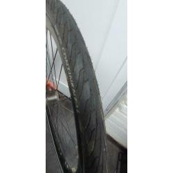 Fietsvielen remschijf Shimano Nexus