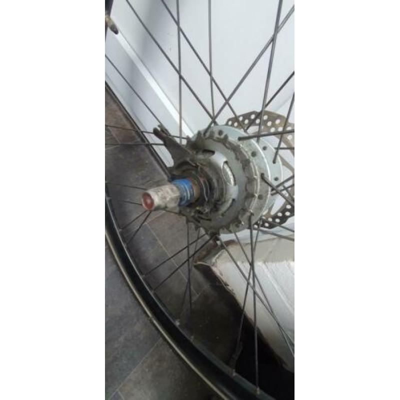 Fietsvielen remschijf Shimano Nexus