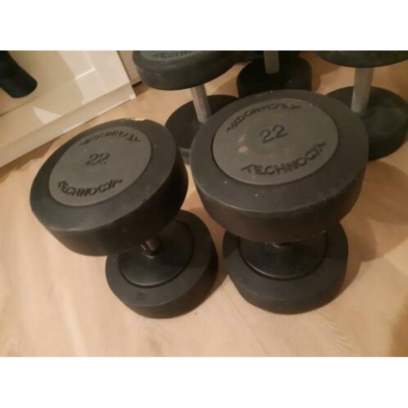 technogym dumbells 22 kg