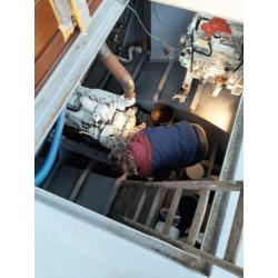 Hovenier en klussen in huis of tuin
