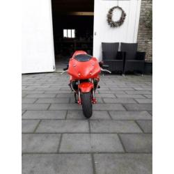 Mini bike