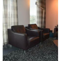 Leolux Fauteuils