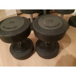 technogym dumbells 22 kg