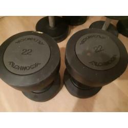 technogym dumbells 22 kg