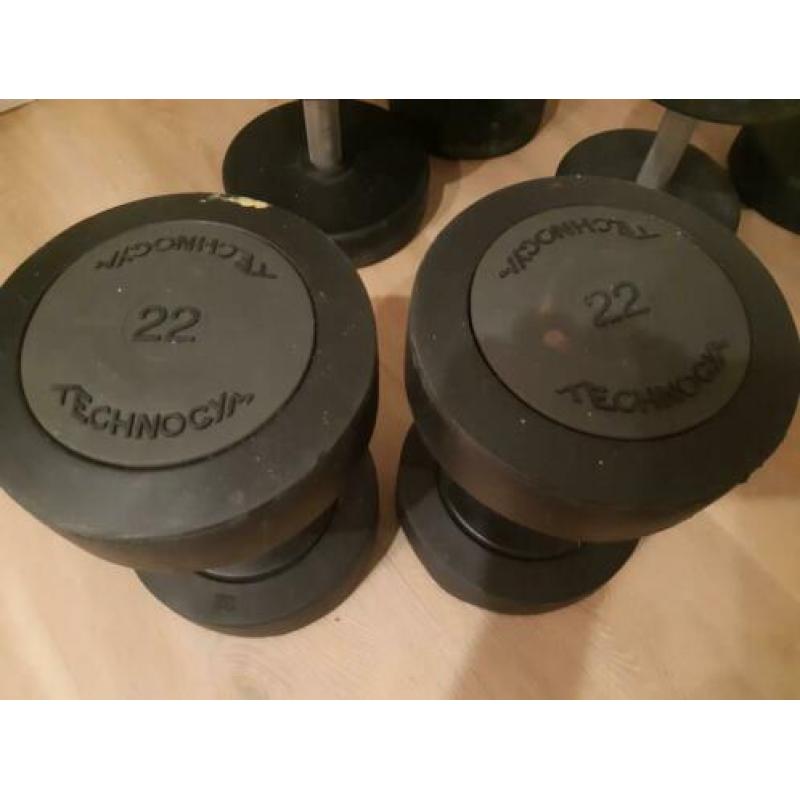 technogym dumbells 22 kg