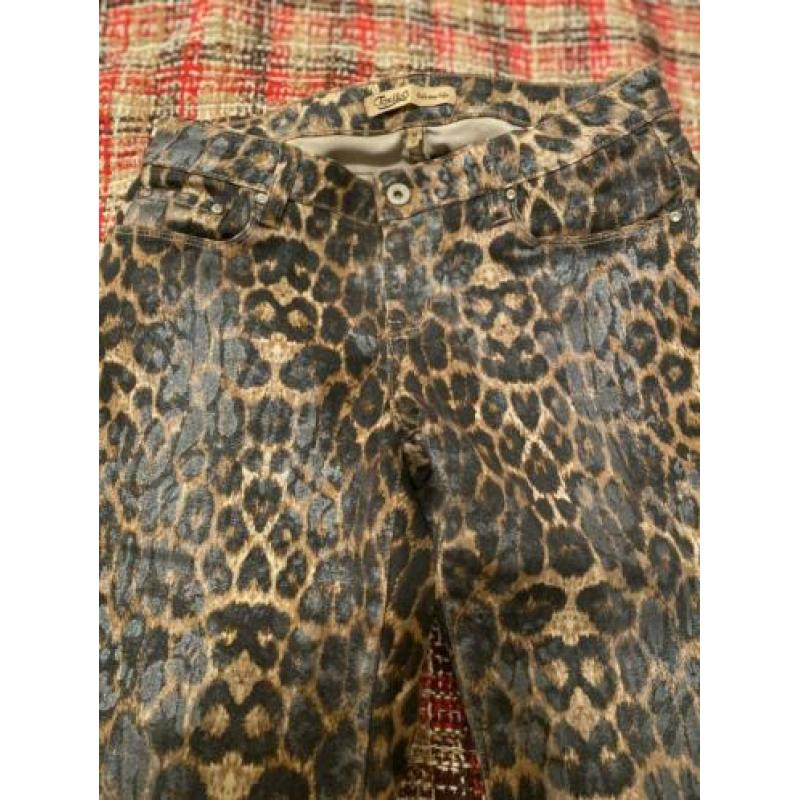 Tijgerprint jeans. Nieuw
