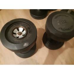 technogym dumbells 22 kg