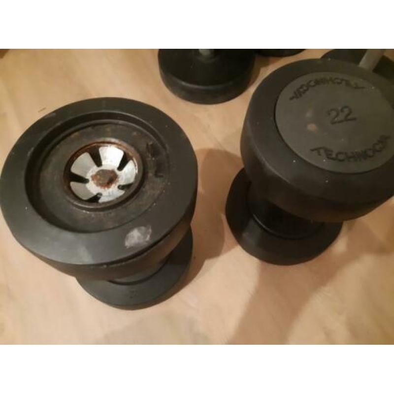 technogym dumbells 22 kg